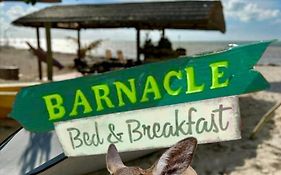 Barnacle Bed & Breakfast Big Pine Key Fl